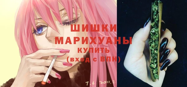 шишки Козельск