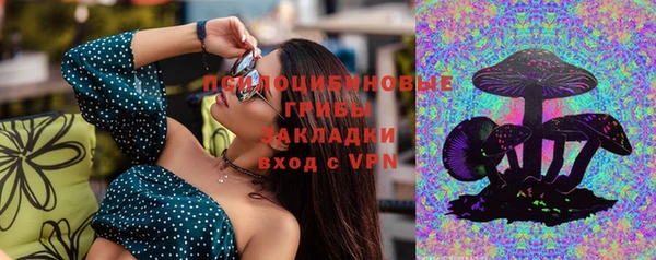 apvp Алексеевка